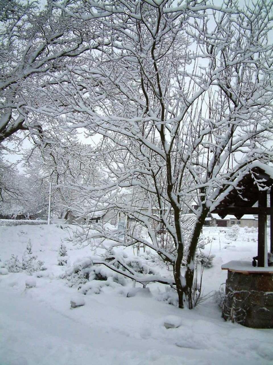 BodstedtHaus Jasmin公寓 外观 照片