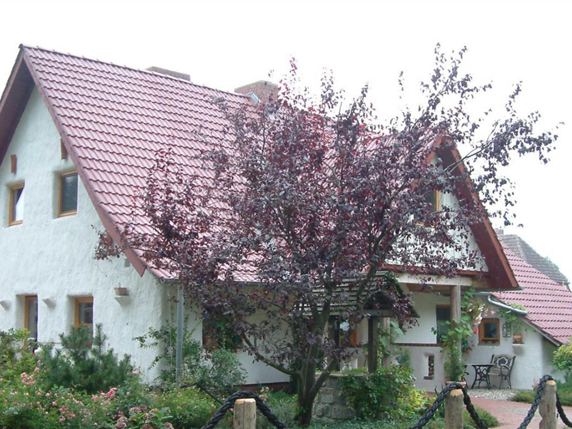 BodstedtHaus Jasmin公寓 外观 照片